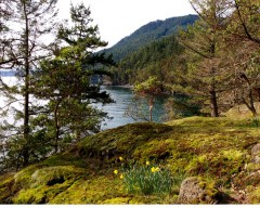Daffodil Cove Cottage Salt Spring Island